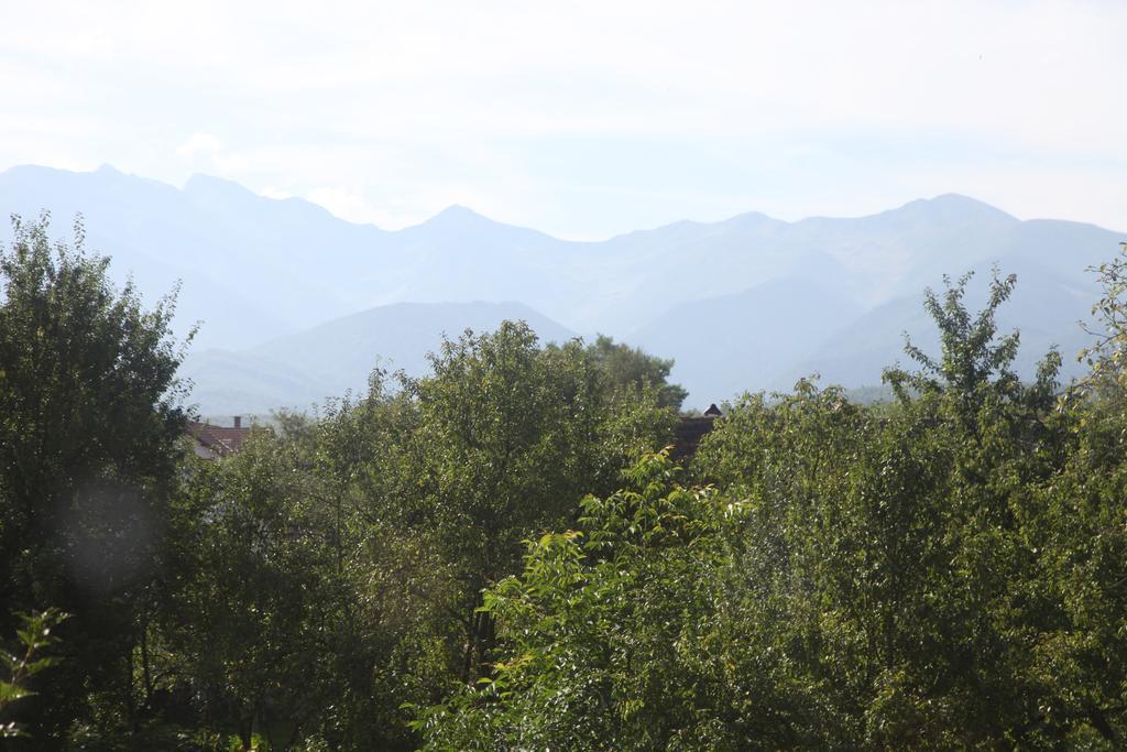 Vila La Mosu Porumbacu de Sus Exteriér fotografie
